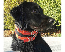 Load image into Gallery viewer, Hunting Dog Lightweight Rip Collar