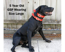 Load image into Gallery viewer, Hunting Dog Lightweight Rip Collar