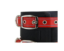 Load image into Gallery viewer, manitoba-dog-manitoba-lightweight-rip-dog-collar-355017-2-257546_(1)_SHEICWAGXX9C.jpg