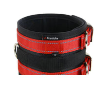 Load image into Gallery viewer, manitoba-dog-manitoba-lightweight-rip-dog-collar-355017-3-257545_(1)_SHEICZRUBPZN.jpg
