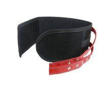Load image into Gallery viewer, manitoba-dog-manitoba-lightweight-rip-dog-collar-355017-4-257544_(1)_SHEID3M6GZXY.jpg