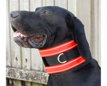 Load image into Gallery viewer, Hunting Dog Lightweight Rip Collar
